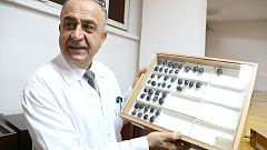 Türk profesör literatüre kazandırdığı böceğe babasının ismini verdi