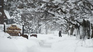 کاهش دمای هوا و بارش بی سابقه برف در نواحی شمالی آمریکا