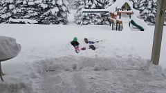 Une vague de froid frappe l'Amérique du Nord