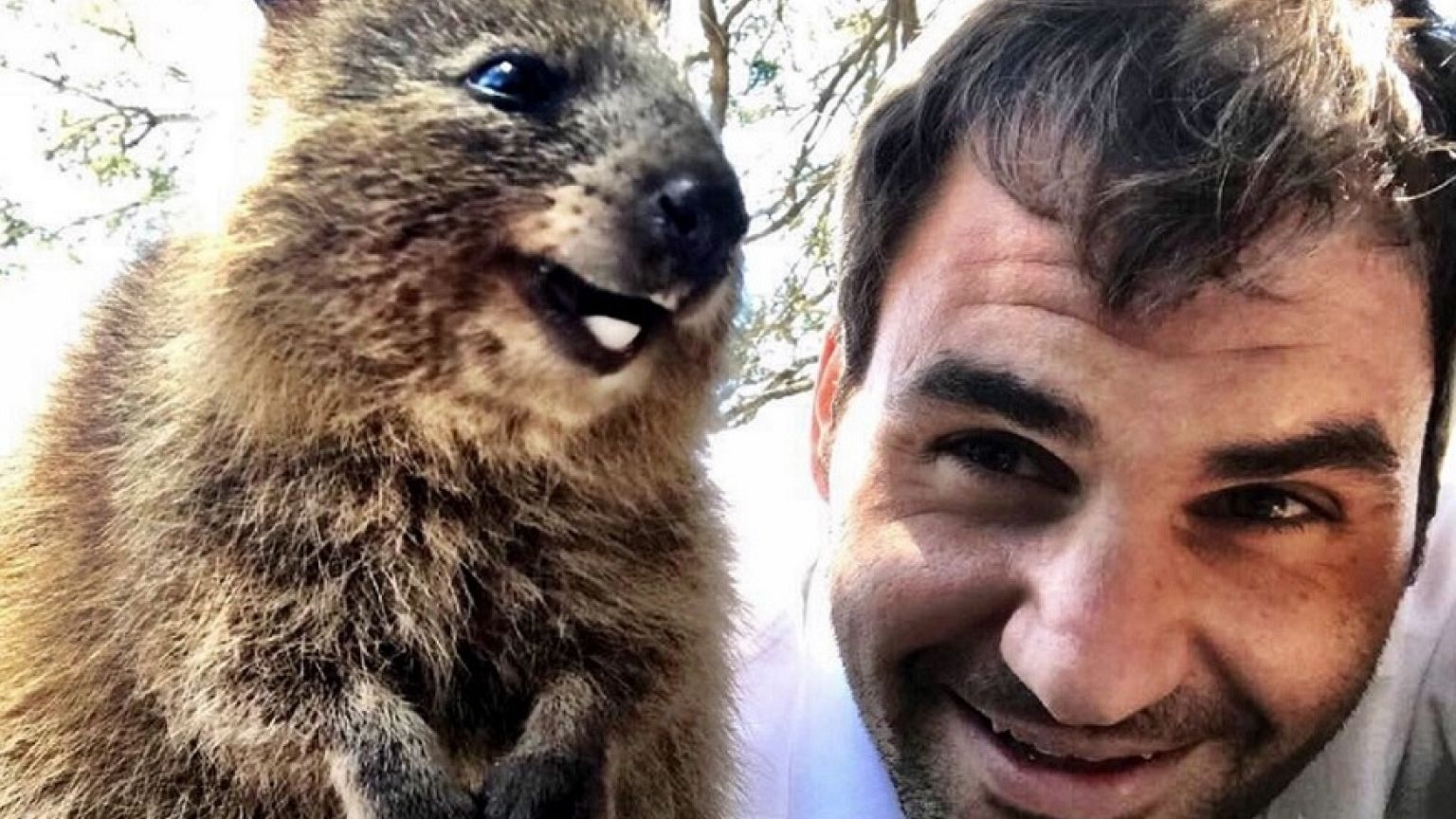 Tennis: Federer atterra in Australia