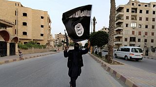 IŞİD'in silahlarının üçte biri AB'de üretiliyor