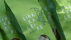 В Финляндии начали печь хлеб из сверчков
