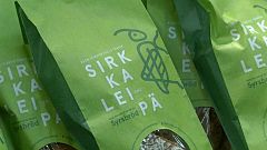 Dalla Finlandia arriva il pane con i grilli