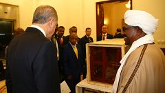 Erdoğan'a hediye edilen aslan yavruları Türkiye'ye getirildi
