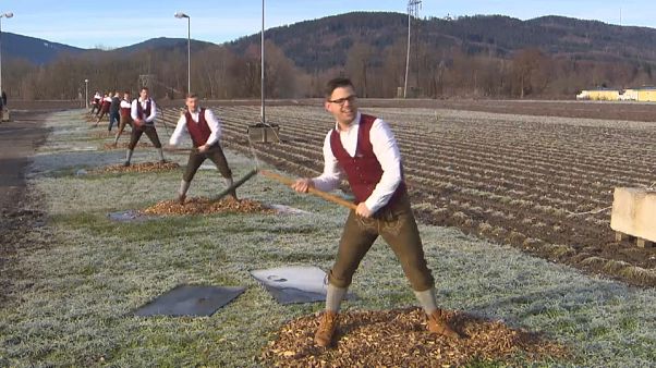 Aperschnalzer-Saison beginnt in Oberbayern und im Salzburger Land Aperschnalzer-Saison beginnt in Oberbayern und im Salzburger Land