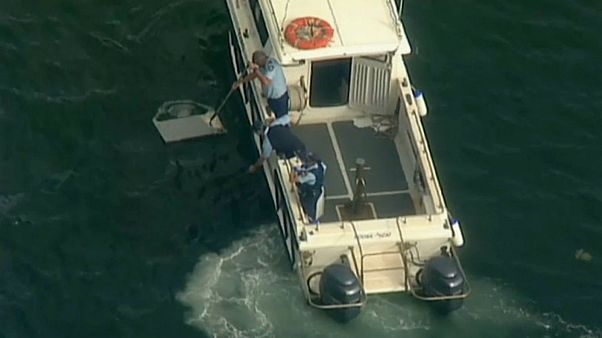 Six people dead after tourist seaplane crashes in Sydney Six people dead after tourist seaplane crashes in Sydney