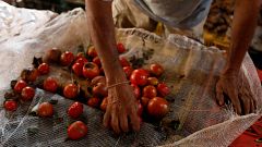 Βενεζουέλα: Όλο και ακριβή η ζωή