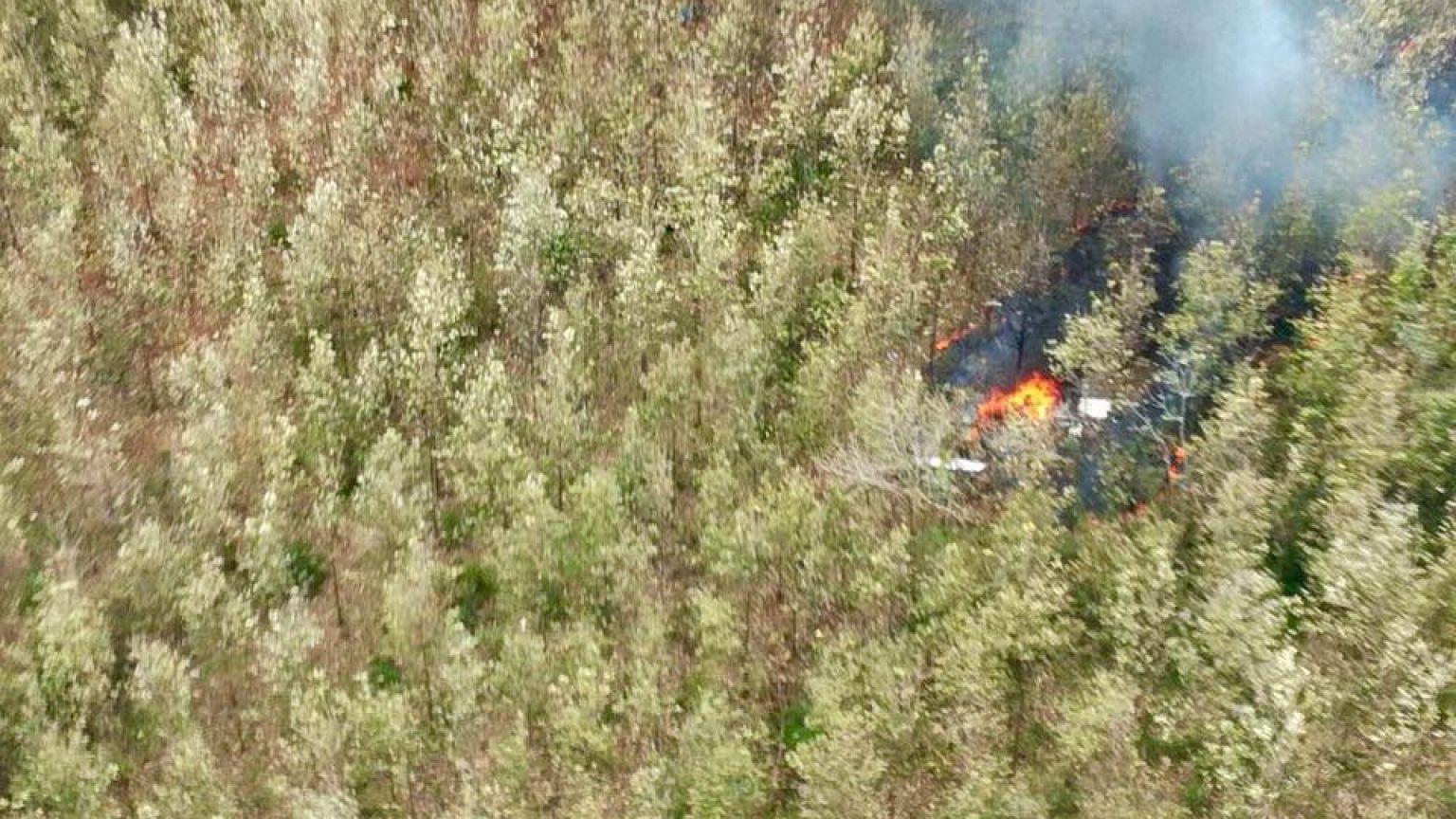 Queda de monomotor faz 12 mortos na Costa Rica