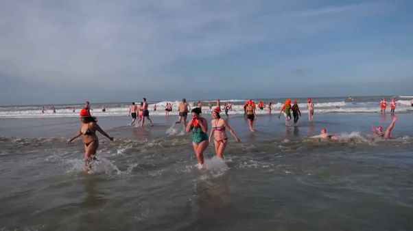 Gélido chapuzón de Año Nuevo en La Haya Gélido chapuzón de Año Nuevo en La Haya