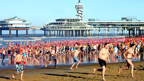 Netherlands new year swim