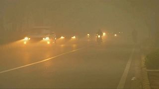 Travel chaos as fog cloaks New Delhi