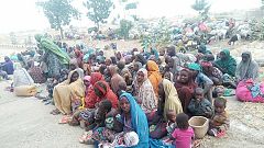 Former Boko Haram abductees are being questioned in Borno state