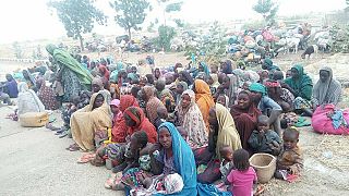 Former Boko Haram abductees are being questioned in Borno state