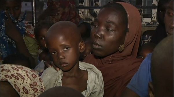 700 personas escapan del yugo de Boko Haram 700 personas escapan del yugo de Boko Haram