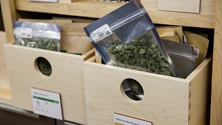 Le cannabis en vente libre en Californie