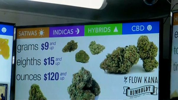 California legalises recreational pot California legalises recreational pot