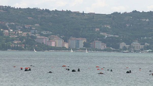 Eslovenia empieza a aplicar el fallo sobre la Bahía de Pirán Eslovenia empieza a aplicar el fallo sobre la Bahía de Pirán