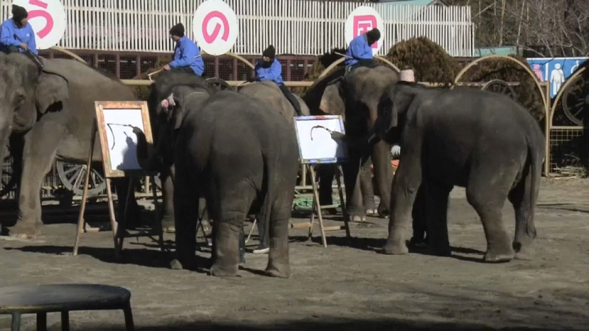 Elephants show off their calligraphy skills at a zoo near Tokyo