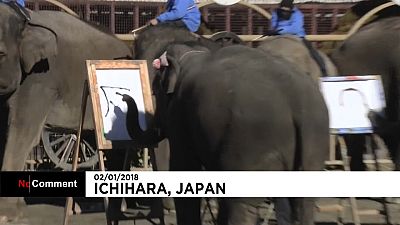 اليابان: الفيلة تكتب وترسم