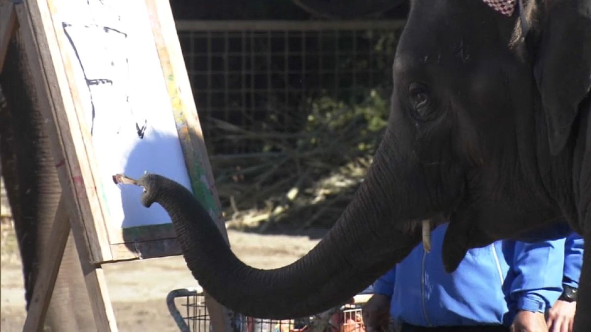 Au Japon, des éléphants savent écrire
