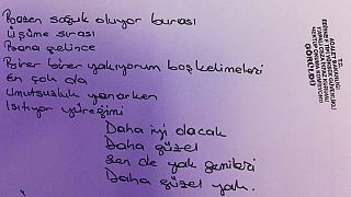 HDP lideri Demirtaş'ın yazdığı şarkı sözü bestelendi, şarkı için klip de hazırlandı