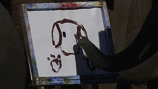 2 Elefanten malen und schreiben...