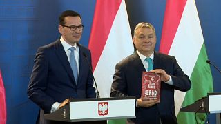 Польша-Венгрия: двойной удар по миграционной политике ЕС