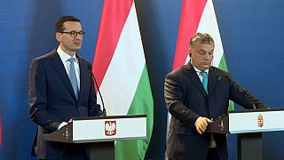 Macaristan ve Polonya'dan göçe karşı ortak tavır