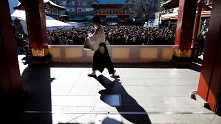 Japonya'da 500 yıldır süren gelenek: Tama-seseri