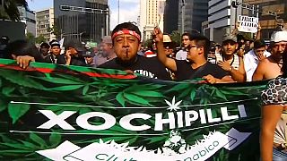 Manifestanti per la legalizzazione della cannabis a Città del Messico