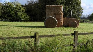 UK plans farm subsidy overhaul in push for 'green' Brexit