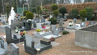Il cimitero di animali a Liegi, Belgio