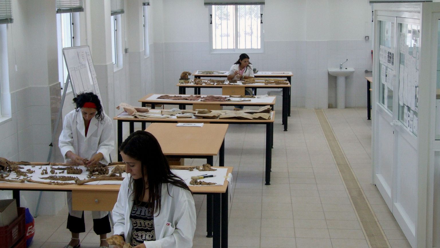 Κύπρος: Εντοπίστηκαν νέα λείψανα αγνοουμένων σε κατεχόμενες περιοχές