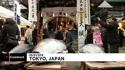 Токио: "золотая" рыбка ушла с молотка