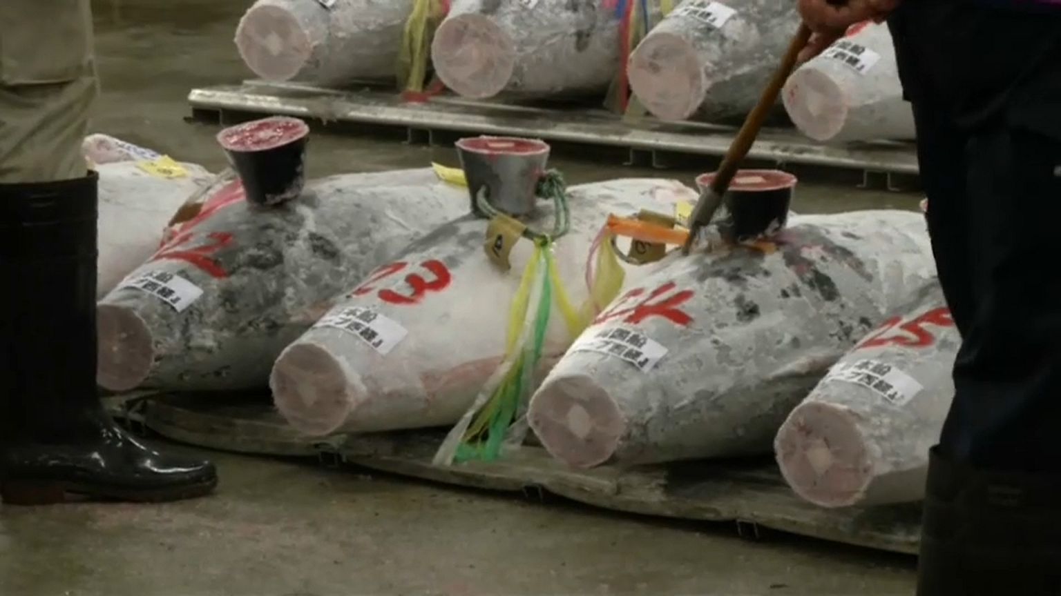 Tokyo tuna fetches nearly 250,000 at auction