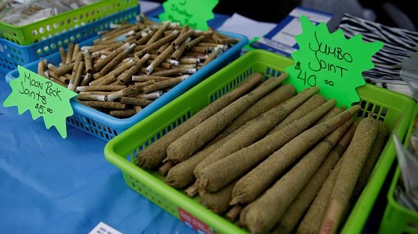"Guerra da Marijuana" aberta nos EUA "Guerra da Marijuana" aberta nos EUA