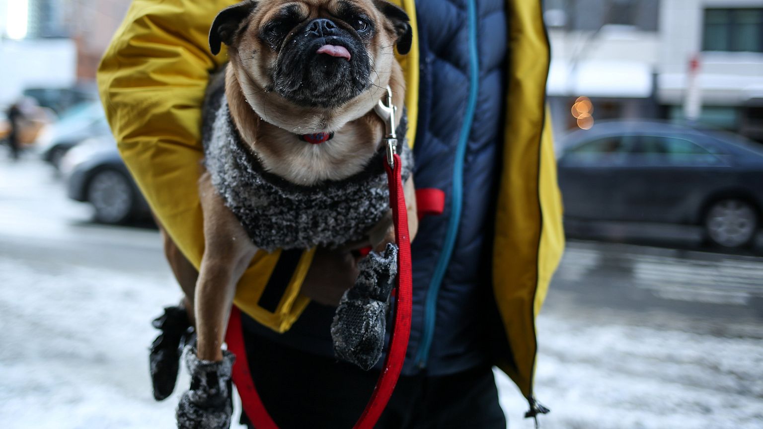 US East Coast shivers in New Year Big Freeze