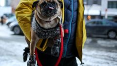 US East Coast shivers in New Year Big Freeze