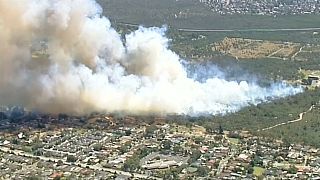 Aşırı sıcaklar Avustralya'da orman yangınlarına sebep oldu