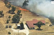 Record heatwave in Australia sparks bushfires