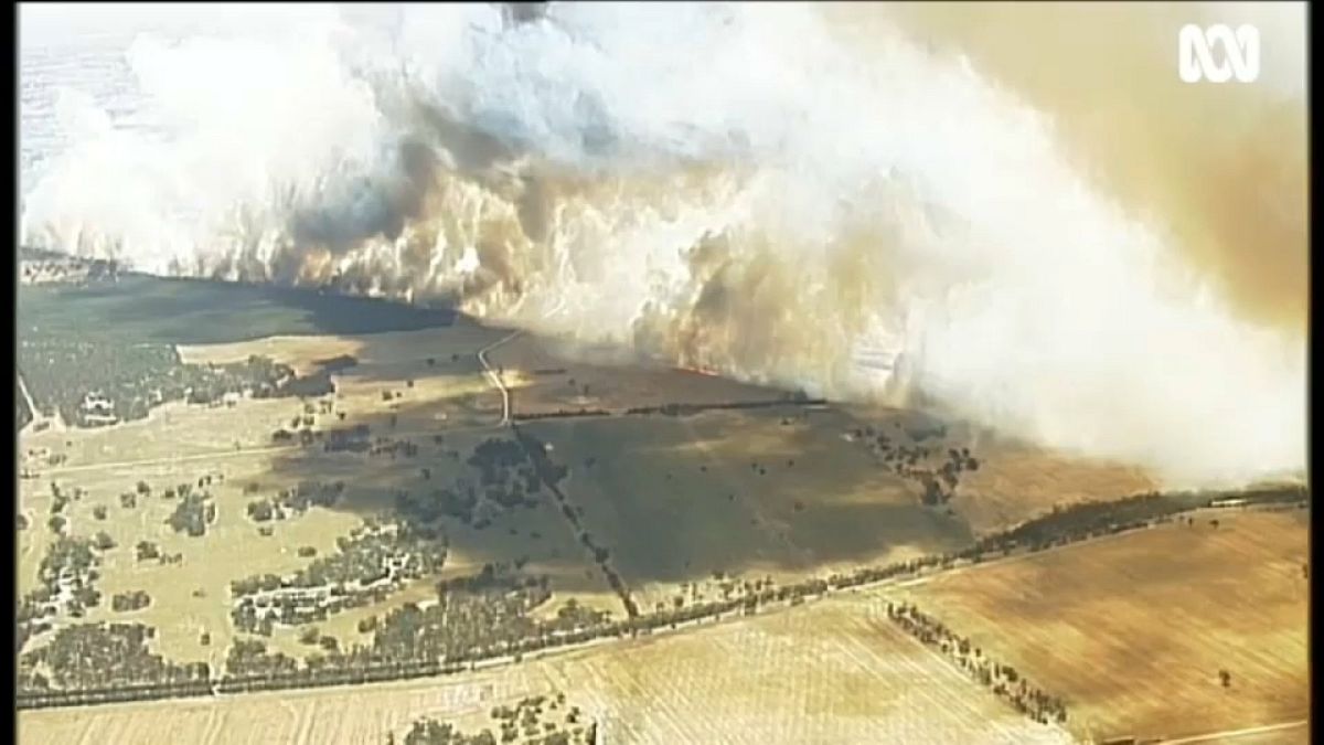 Australien: Extremtemperaturen und schwere Buschbrände