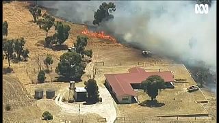 Vaga de calor e incêndios castigam sudeste da Austrália