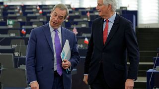 Nigel Farage and Michel Barnier in the European Parliament last year