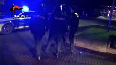 Megaoperação anti-máfia europeia contra 'Ndrangheta calabresa 
