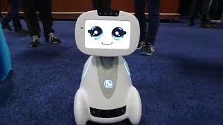 A robot enjoying CES 2018