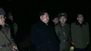 Reacciones a los diálogos de Pyongyang y Seúl