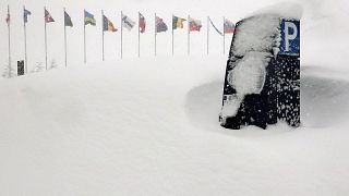 Caos sulle Alpi, a causa delle forti nevicate dei giorni scorsi