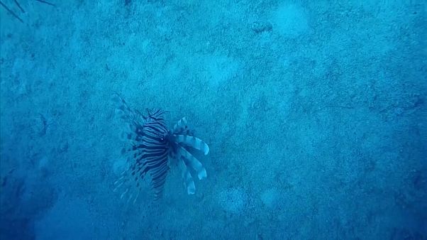 Reino Unido impõe fim às micropartículas de plástico nos cosméticos Reino Unido impõe fim às micropartículas de plástico nos cosméticos