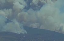 How life before the dinosaurs could help us understand the consequences of global warming today