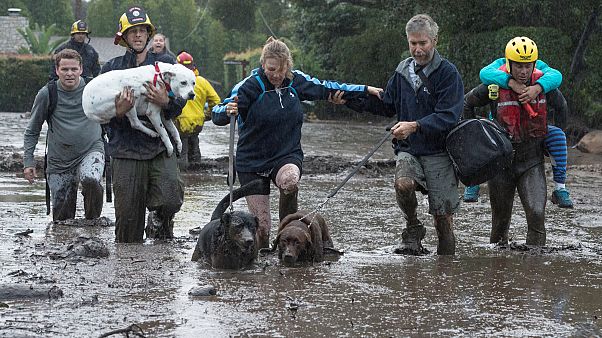Au moins 15 morts dans les coulées de boue en Californie Au moins 15 morts dans les coulées de boue en Californie
